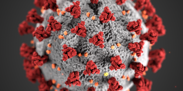 Why and How COVID-19 Pandemic Will Not Affect The Economy?